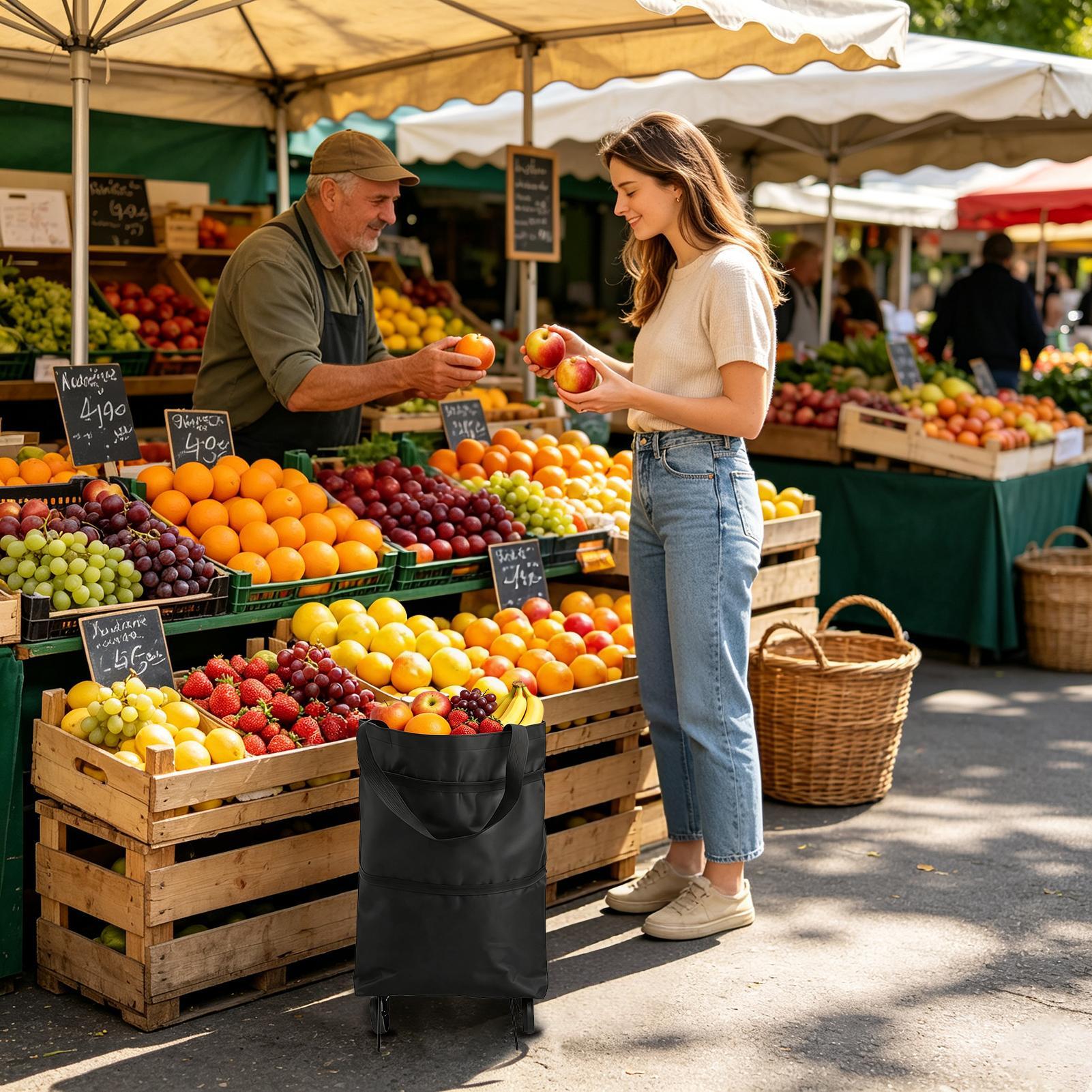 Sac d'épicerie à roulettes, sa - Women Bags Farmers avis et prix